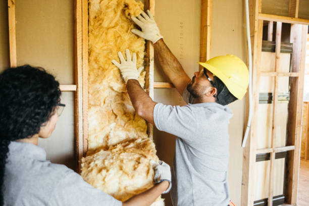 Best Insulation for New Construction  in Port St Lucie, FL